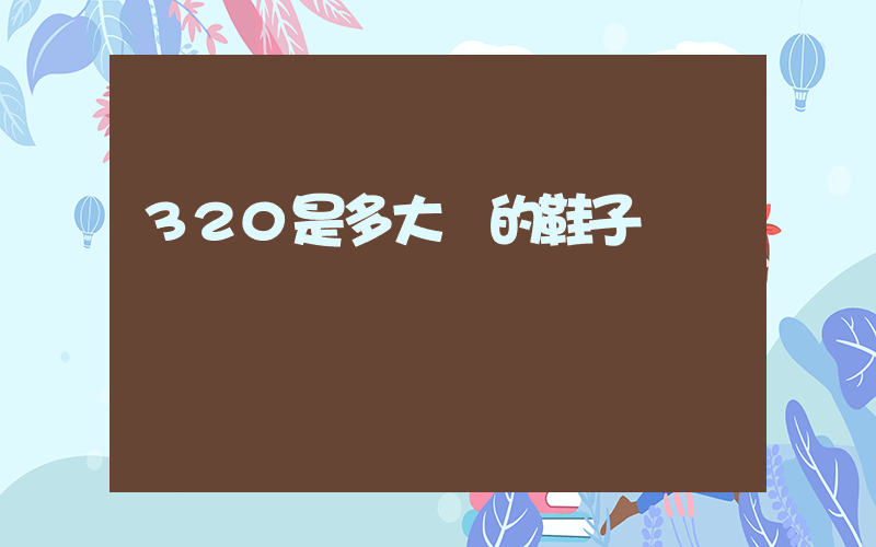 320是多大碼的鞋子插圖