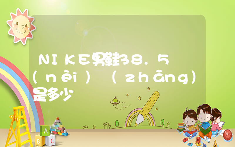 NIKE男鞋38.5碼內(nèi)長(zhǎng)是多少插圖