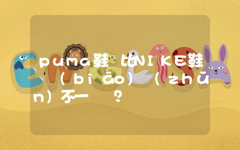 puma鞋碼比NIKE鞋碼標(biāo)準(zhǔn)不一樣嗎？插圖