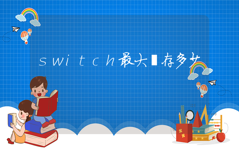 switch最大內存多少插圖