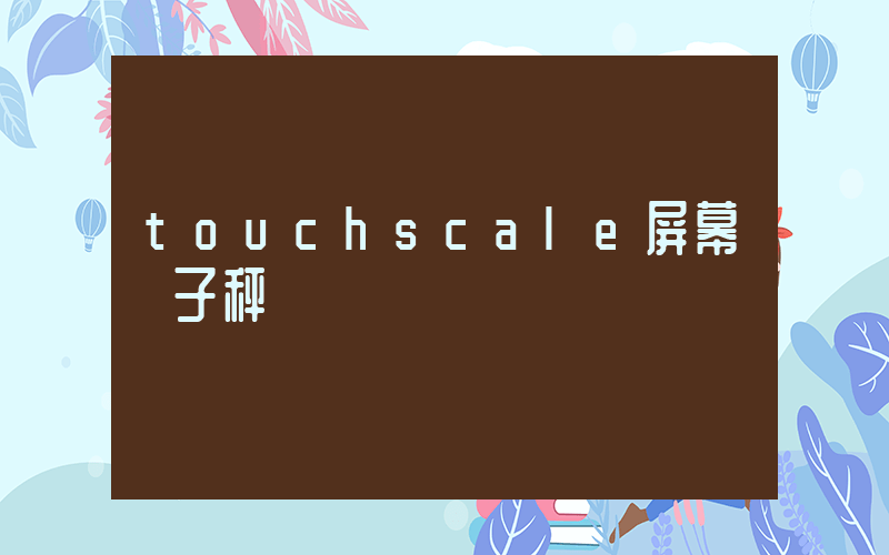 touchscale屏幕電子秤插圖