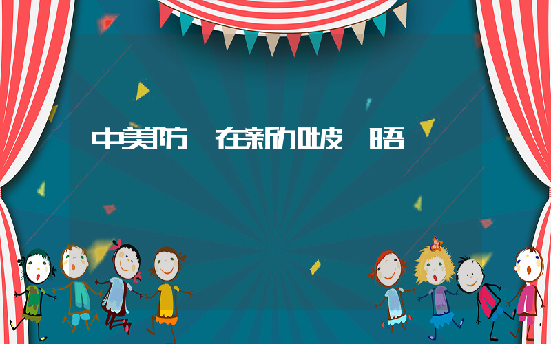 中美防長在新加坡會晤插圖