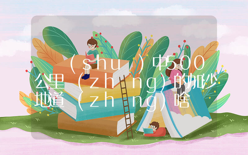 傳說(shuō)中500公里長(zhǎng)的加沙地道長(zhǎng)啥樣插圖