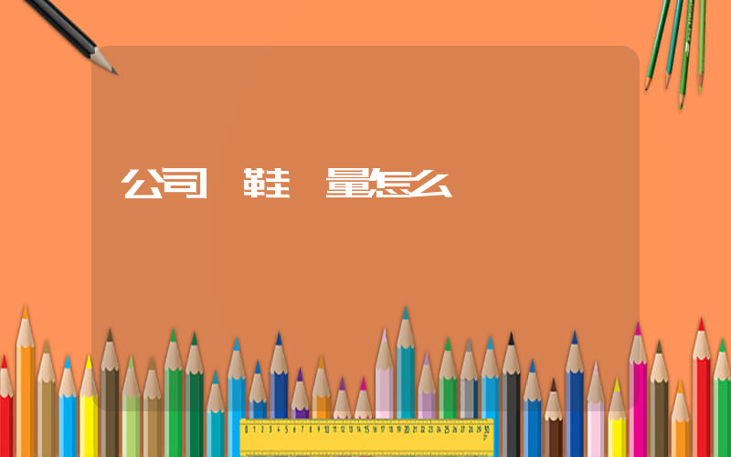 公司級鞋質量怎么樣插圖