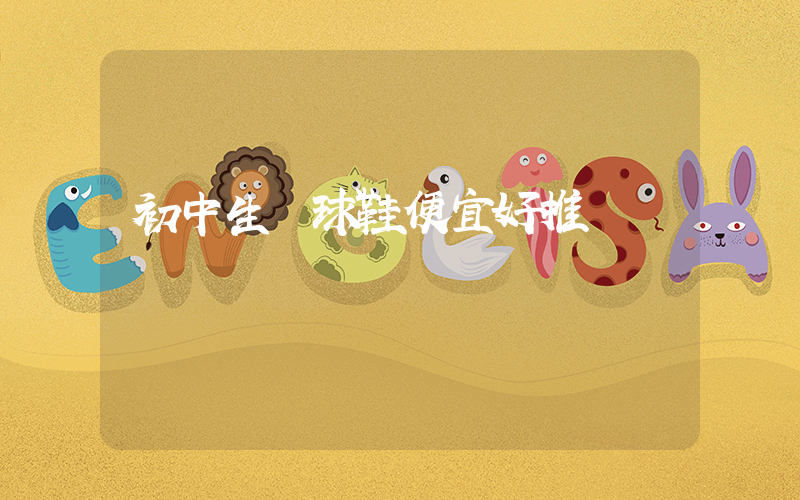 初中生籃球鞋便宜好推薦插圖