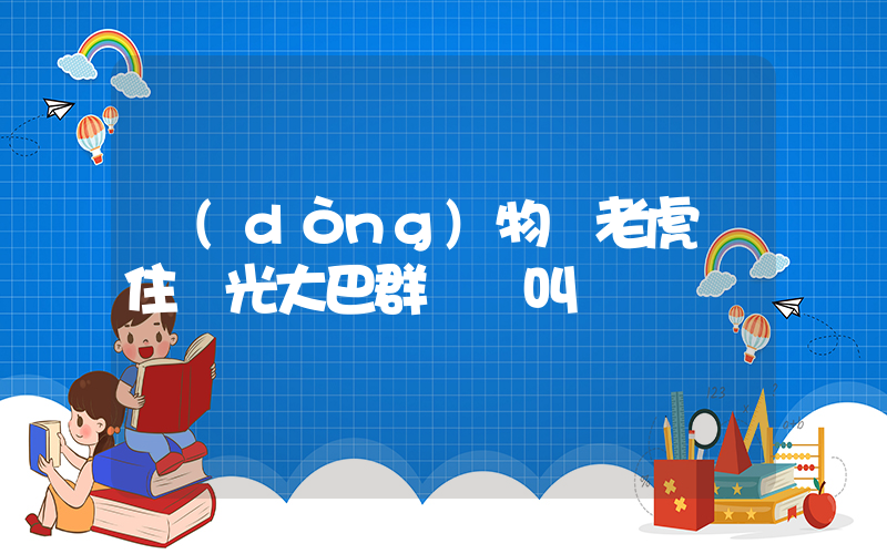 動(dòng)物園老虎壓住觀光大巴群眾驚叫插圖