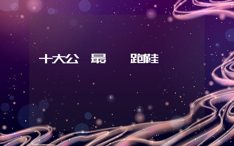 十大公認最專業跑鞋插圖