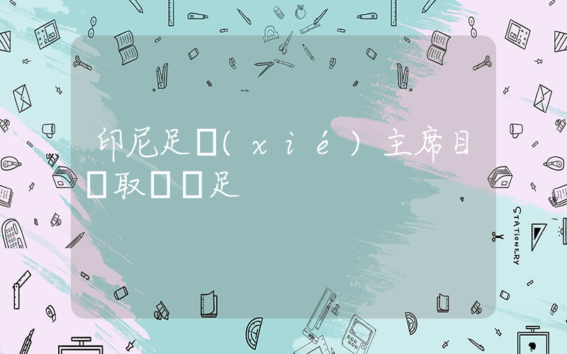 印尼足協(xié)主席目標取勝國足插圖