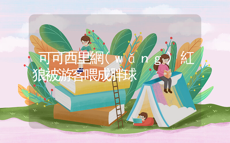 可可西里網(wǎng)紅狼被游客喂成胖球插圖