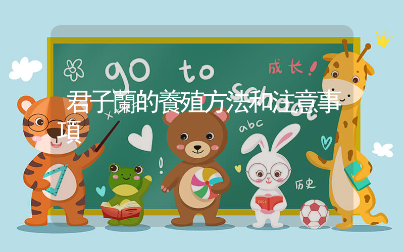 君子蘭的養殖方法和注意事項插圖