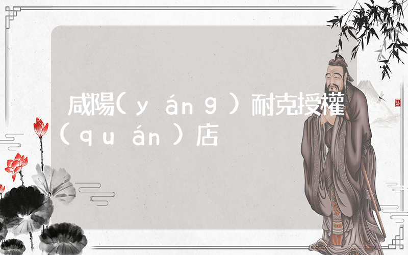 咸陽(yáng)耐克授權(quán)店插圖