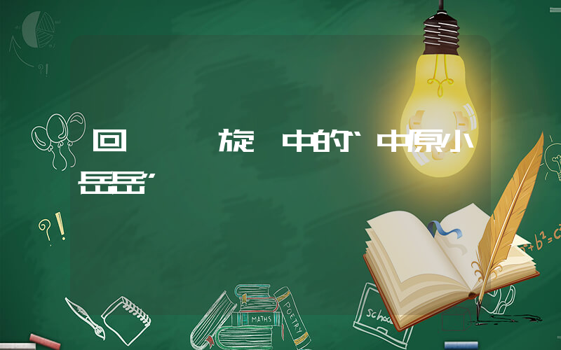 回訪輿論旋渦中的“中原小岳岳”插圖
