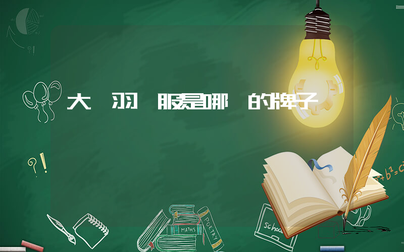 大鵝羽絨服是哪國的牌子插圖