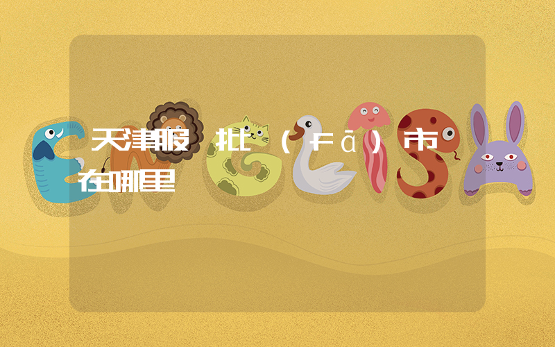 天津服裝批發(fā)市場在哪里插圖