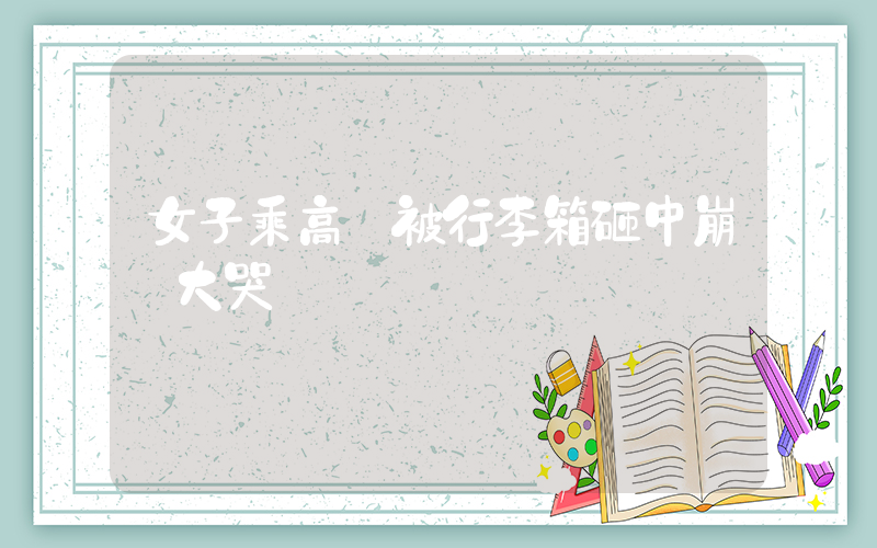 女子乘高鐵被行李箱砸中崩潰大哭插圖