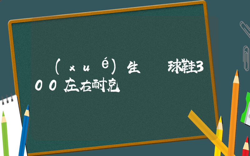 學(xué)生黨籃球鞋300左右耐克插圖
