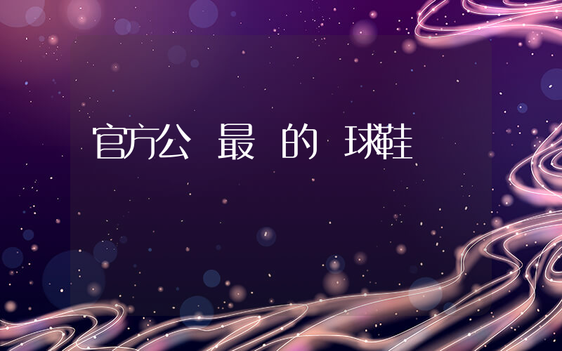 官方公認最強的籃球鞋插圖