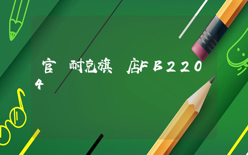 官網耐克旗艦店FB2204插圖