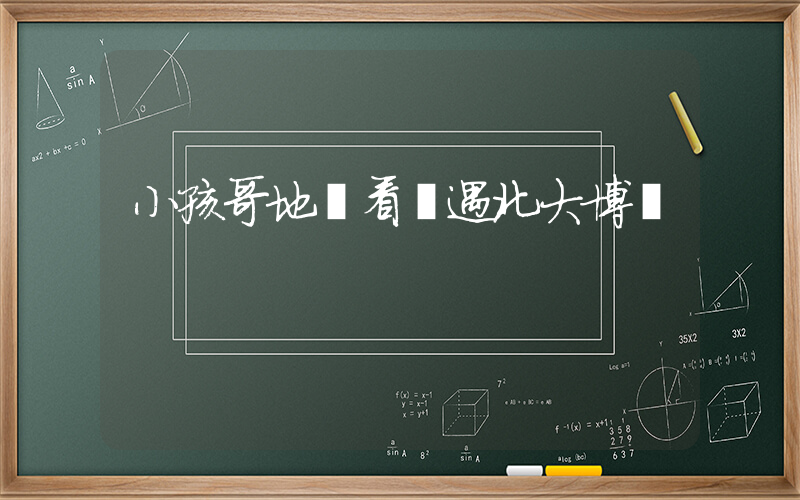 小孩哥地鐵看書遇北大博導插圖
