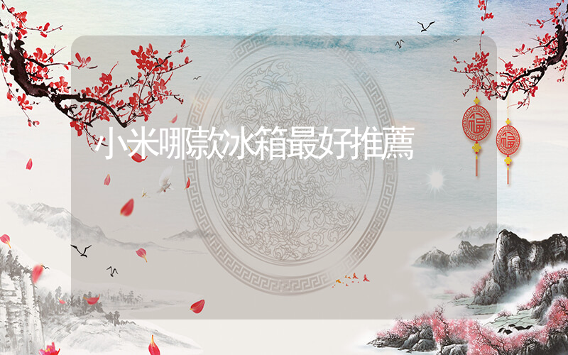 小米哪款冰箱最好推薦插圖