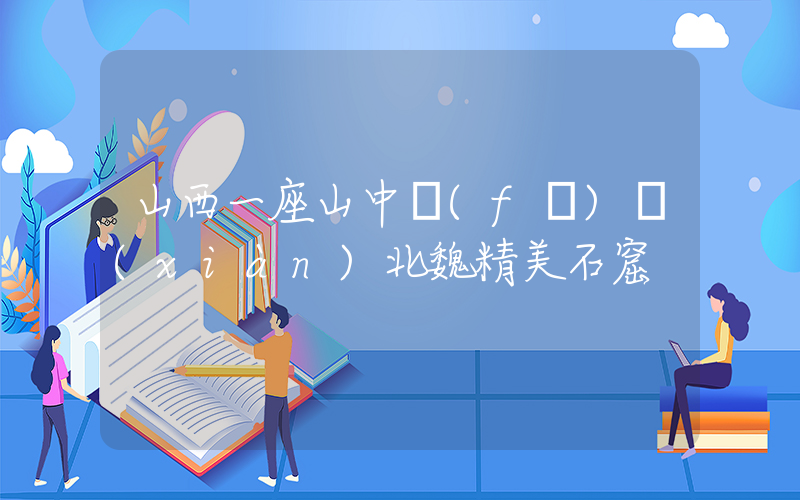 山西一座山中發(fā)現(xiàn)北魏精美石窟插圖