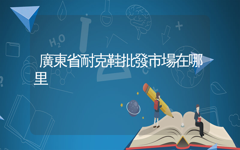 廣東省耐克鞋批發市場在哪里插圖