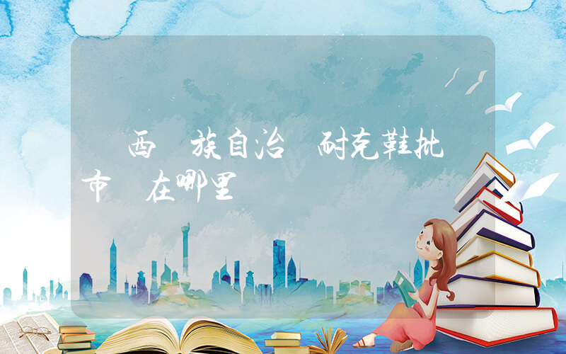 廣西壯族自治區耐克鞋批發市場在哪里插圖