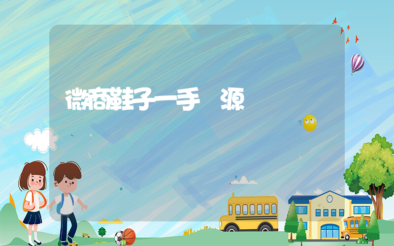 微商鞋子一手貨源網插圖