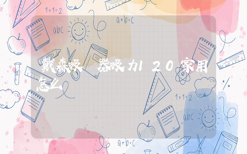 戴森吸塵器吸力120家用怎么樣插圖