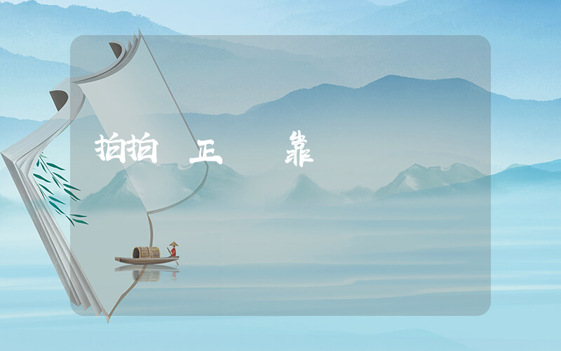 拍拍貸正規嗎靠譜插圖