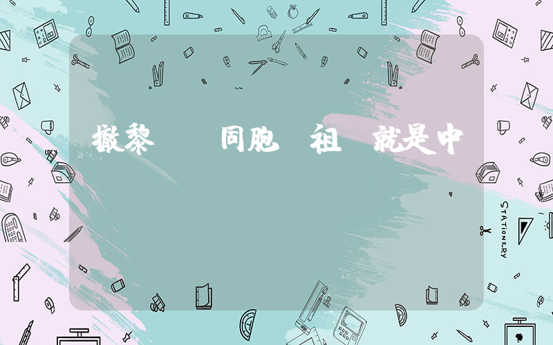 撤黎臺灣同胞稱祖國就是中國插圖