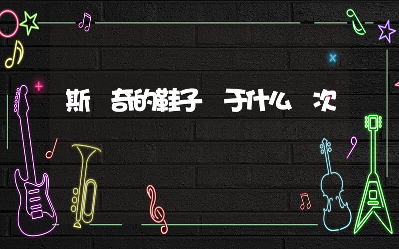 斯凱奇的鞋子屬于什么檔次插圖