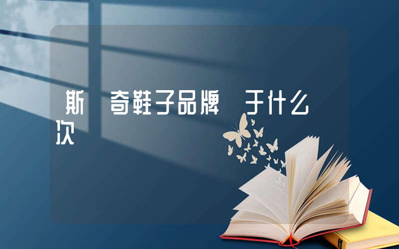 斯凱奇鞋子品牌屬于什么檔次插圖