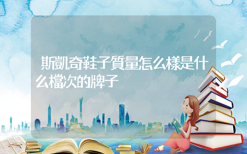斯凱奇鞋子質量怎么樣是什么檔次的牌子插圖