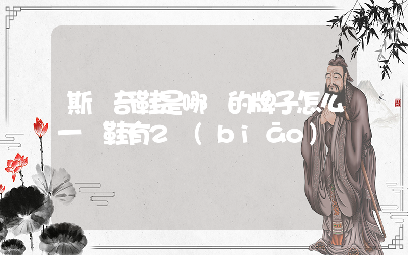 斯凱奇鞋是哪國的牌子怎么一雙鞋有2標(biāo)碼插圖