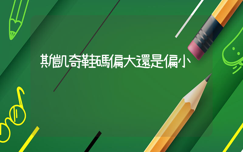 斯凱奇鞋碼偏大還是偏小插圖
