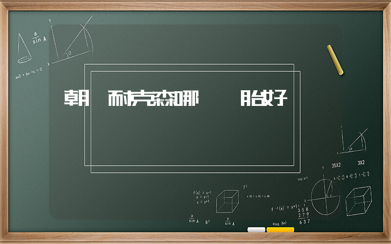 朝陽耐克森哪個輪胎好插圖