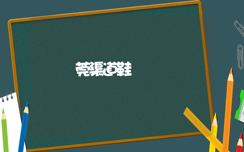 東莞渠道鞋插圖