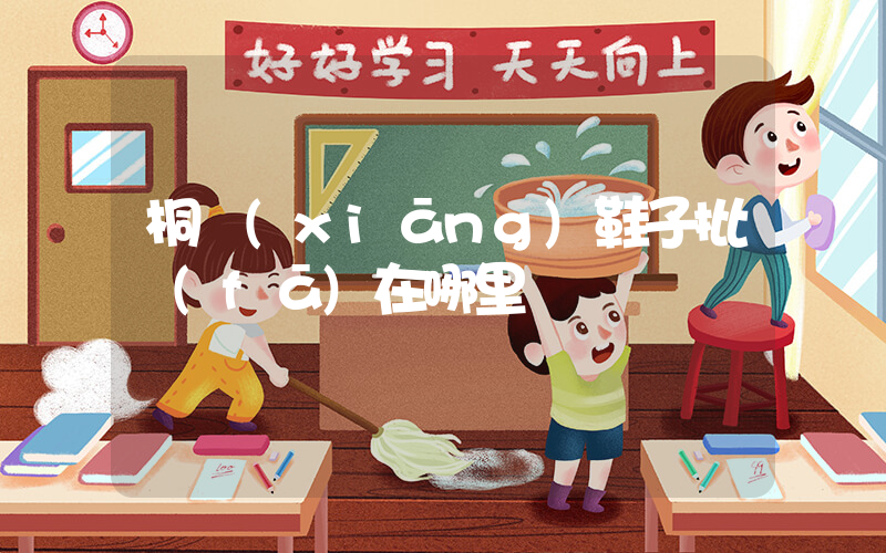 桐鄉(xiāng)鞋子批發(fā)在哪里插圖