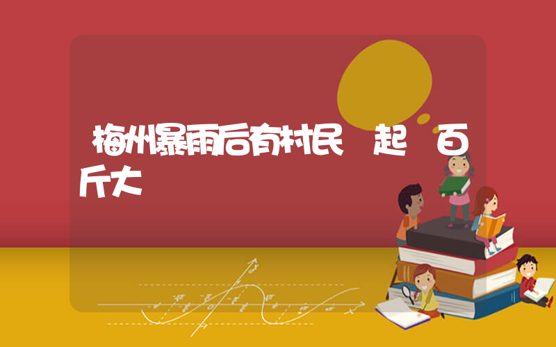 梅州暴雨后有村民撈起數百斤大魚插圖