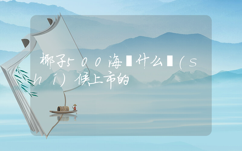 椰子500海鹽什么時(shí)候上市的插圖