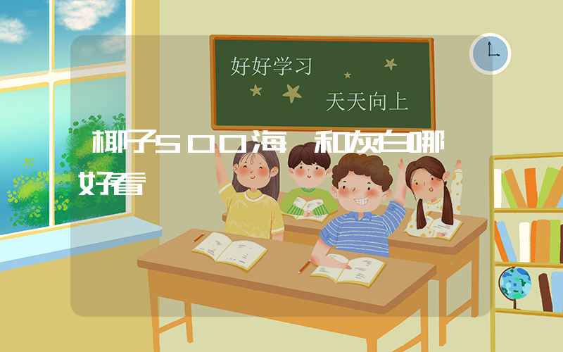 椰子500海鹽和灰白哪個好看插圖