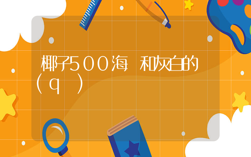 椰子500海鹽和灰白的區(qū)別插圖