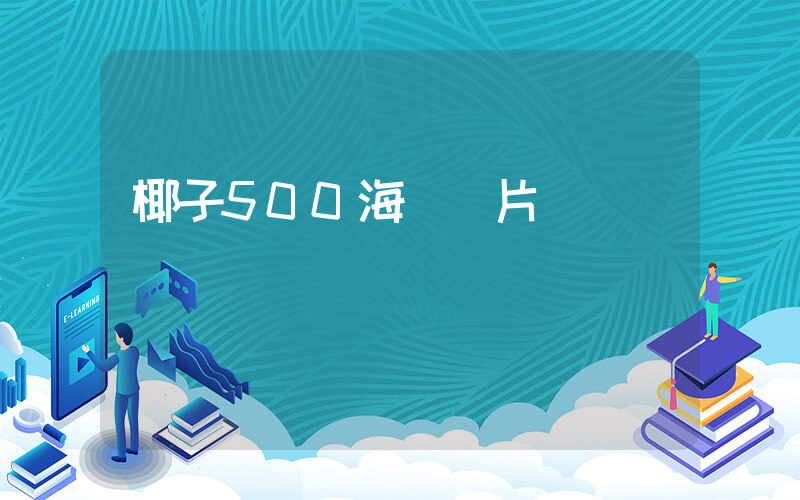 椰子500海鹽圖片插圖