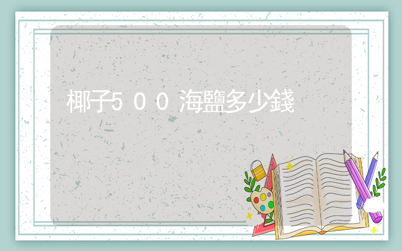椰子500海鹽多少錢插圖