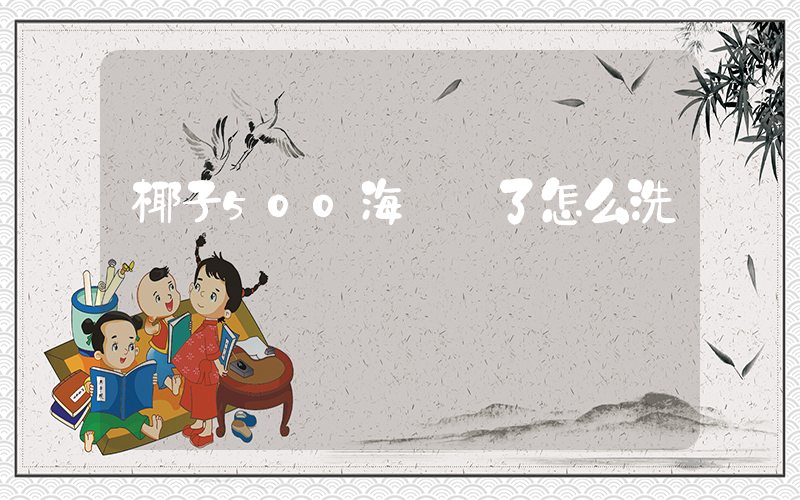 椰子500海鹽臟了怎么洗插圖