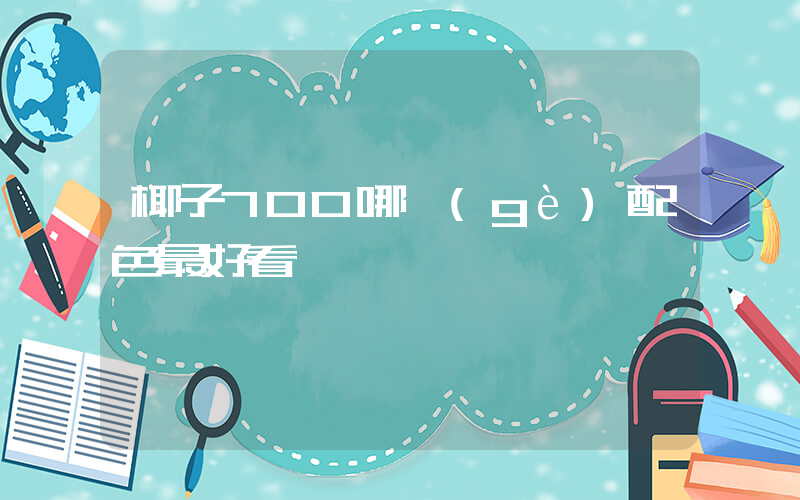 椰子700哪個(gè)配色最好看插圖
