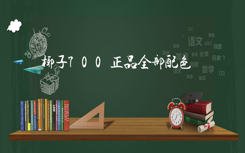椰子700正品全部配色插圖