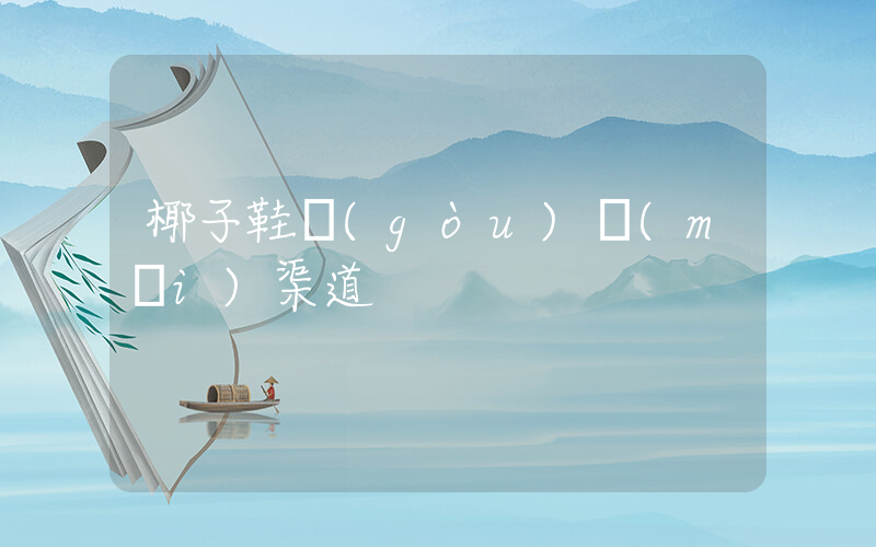 椰子鞋購(gòu)買(mǎi)渠道插圖