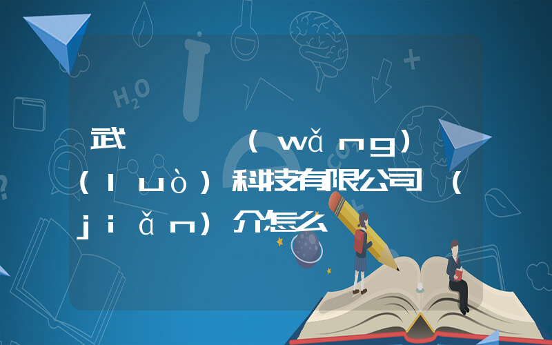 武漢樸樸網(wǎng)絡(luò)科技有限公司簡(jiǎn)介怎么樣插圖